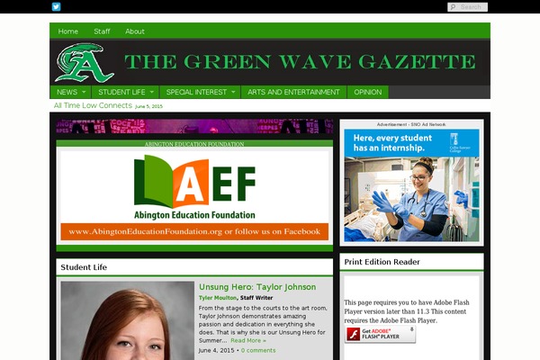 Sno Flex theme site design template sample