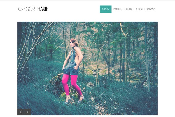 Site using Brankic Photostream Widget plugin