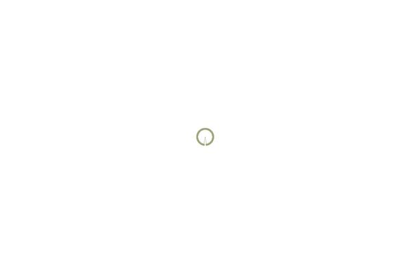 Vintage theme site design template sample