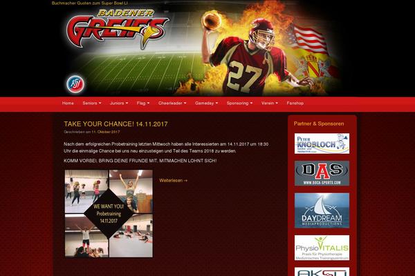 CyberChimps Pro theme site design template sample