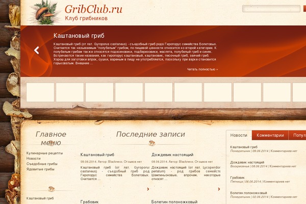 Directorynews theme site design template sample