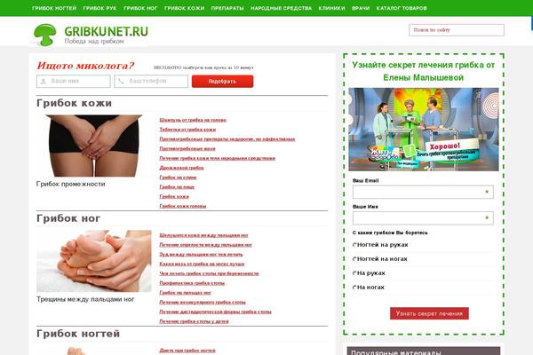 Mansar theme site design template sample