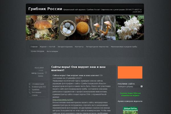 Grey Opaque theme site design template sample