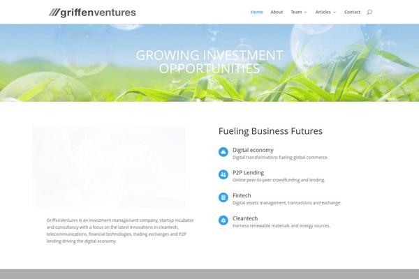 Divi theme site design template sample