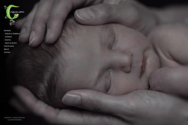 Skylab theme site design template sample