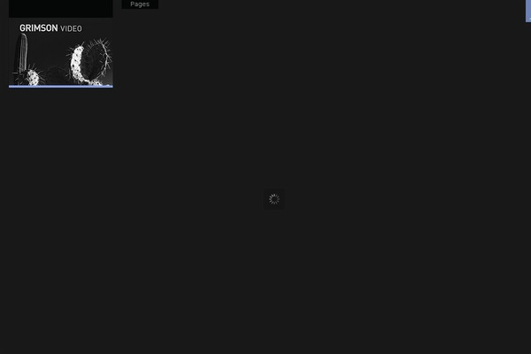 grimsonvideo.com site used Invictus_3.3.4