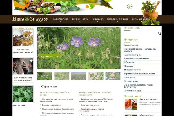 Medical theme site design template sample