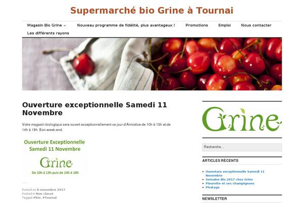 Colinear theme site design template sample