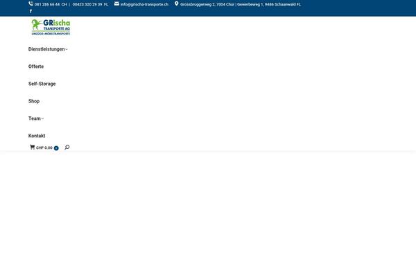 Site using Embed-pdf-viewer plugin
