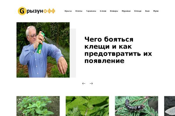 Johannes-child theme site design template sample