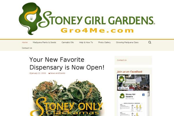 Site using Easy Video Player plugin