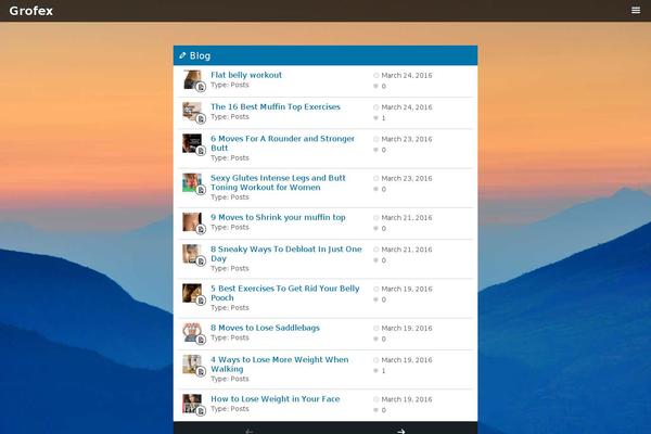 grofex.com site used Explorer