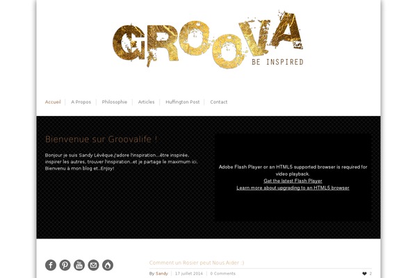 Nevada theme site design template sample