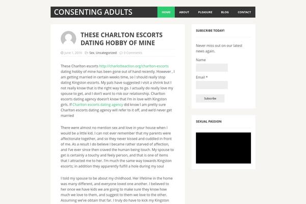MH Cicero lite theme site design template sample