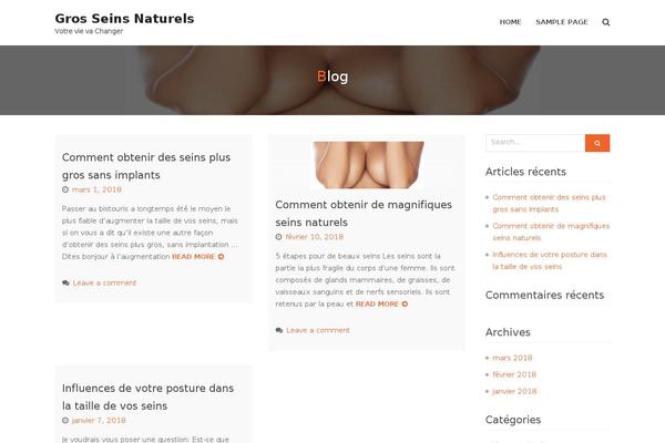 Blossom PinIt theme site design template sample