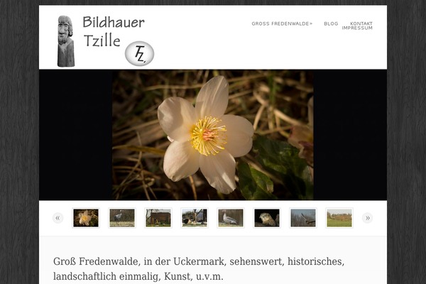 Dandelion theme site design template sample