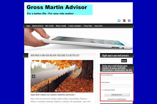 grossmartin.com.br site used Blogolifepro
