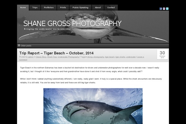 Clear Style theme site design template sample