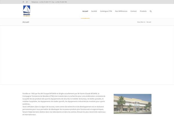 Enfold theme site design template sample