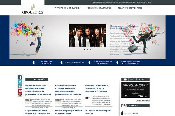 igs theme websites examples