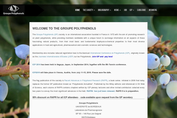 Shuttershot theme site design template sample