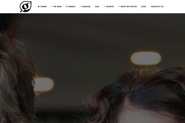 Bridge theme site design template sample