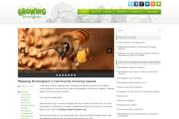 Caprica theme site design template sample