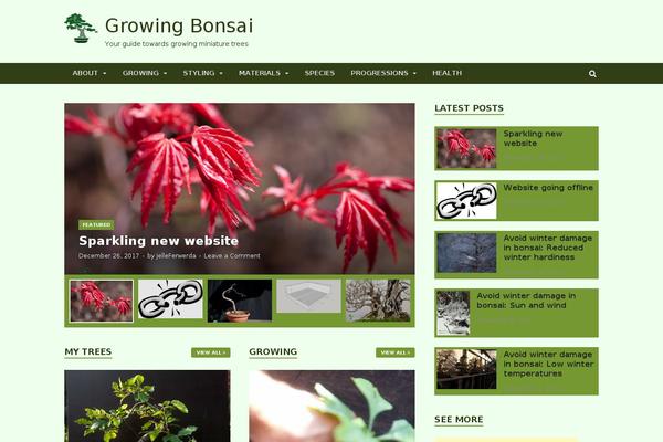 Site using CM Tooltip Glossary plugin