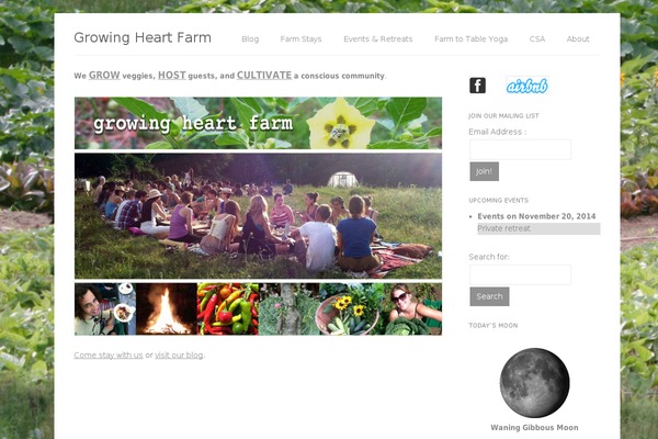 Plain WP theme site design template sample