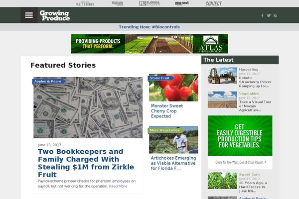 Site using Wp-plugin-top-stories-slider plugin