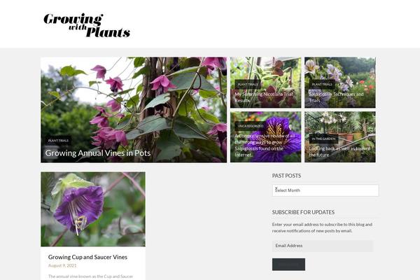 Magazinely theme site design template sample
