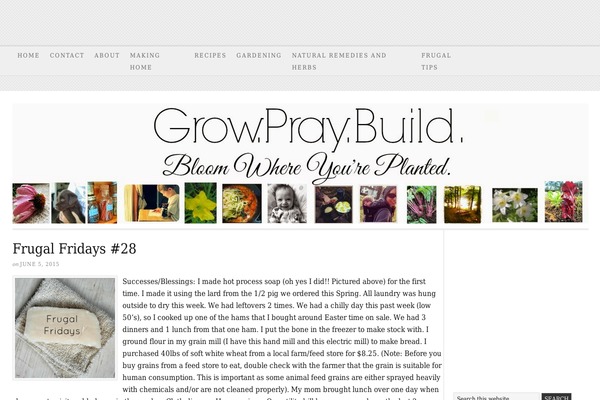 Adaptation theme site design template sample