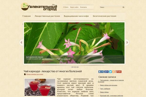 desert theme websites examples