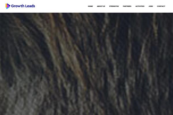 Bridge Child theme site design template sample