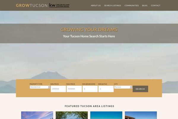 Winning Agent theme site design template sample