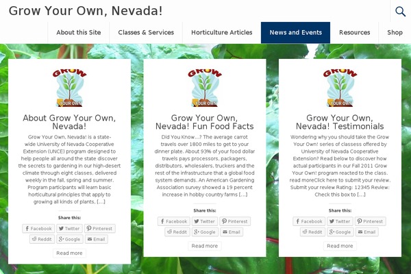 Radiate theme site design template sample