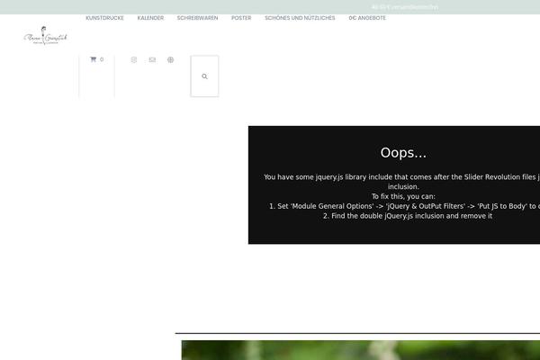 Site using Newsletter2go plugin