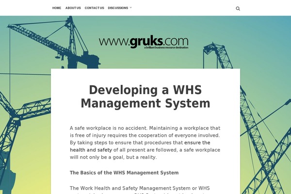 singkarak theme websites examples