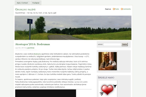 Misty Look theme site design template sample