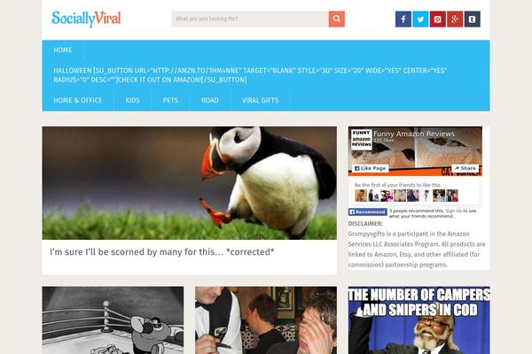 SociallyViral theme site design template sample