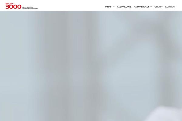 Infinite theme site design template sample