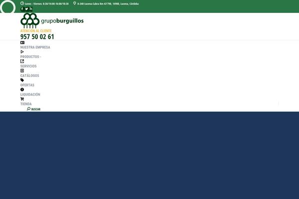 Site using Rock-form-builder plugin