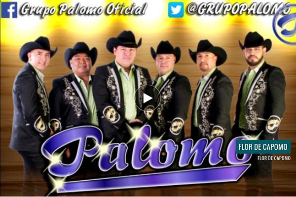 grupopalomo.com.mx site used Limax