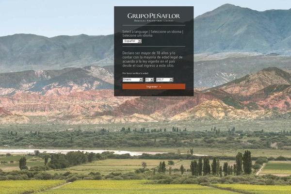 grupopenaflor.com.ar site used Penaflor