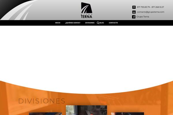 grupoterna.com site used Terna