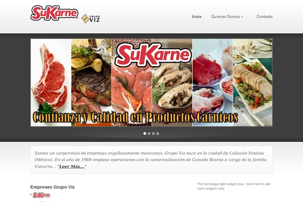 Firm theme site design template sample