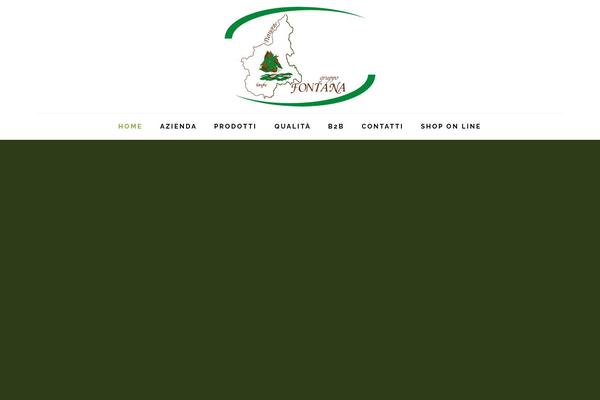 gruppofontana.biz site used Tema-fontana