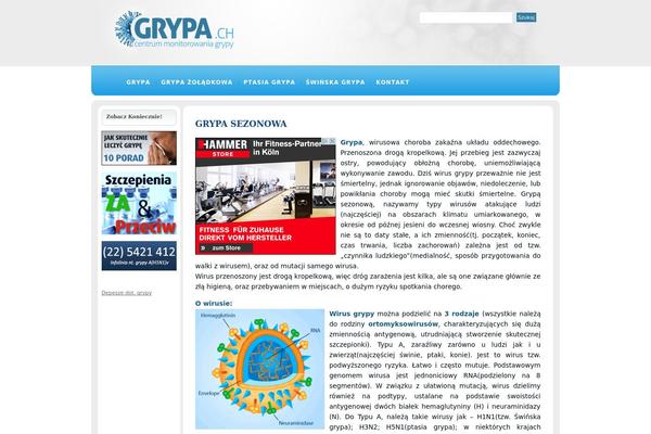 Splendid theme site design template sample