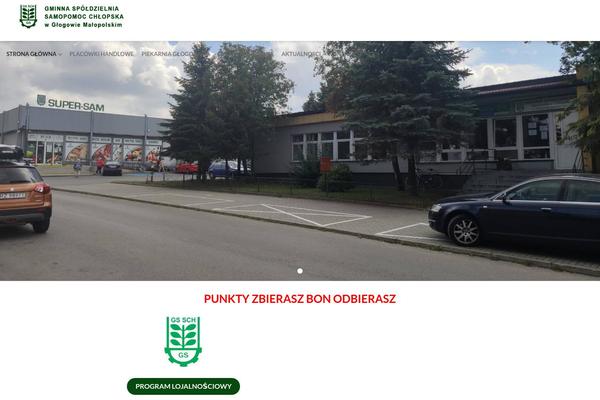 gs-glogowmlp.pl site used Gs-glogow-child