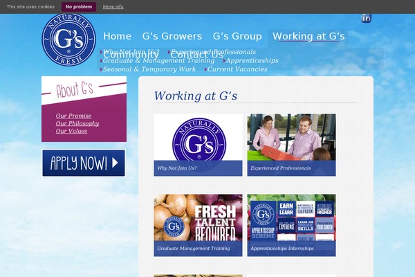 gs-recruitment.com site used Gs_marketing
